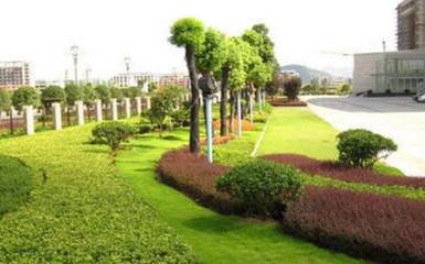 論綠化工程領域施工現狀與改進措施