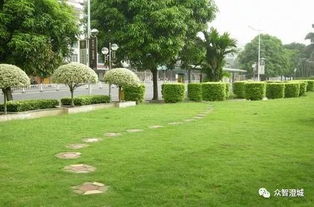 江陰市出臺(tái)新規(guī) 信用評(píng)價(jià)納入園林綠化工程招投標(biāo)核心指標(biāo)